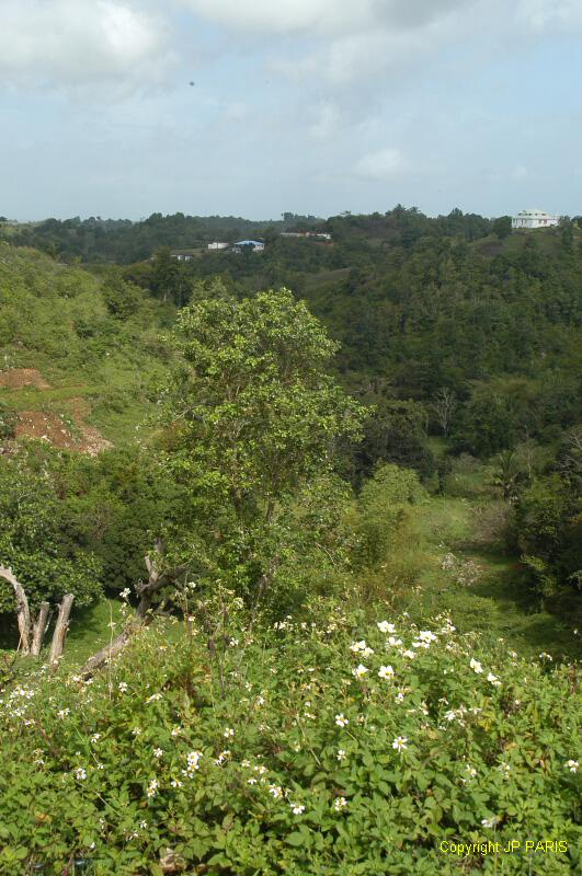 Guadeloupe : Les Grands Fonds